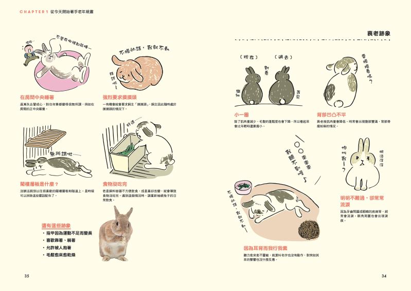 內頁 5