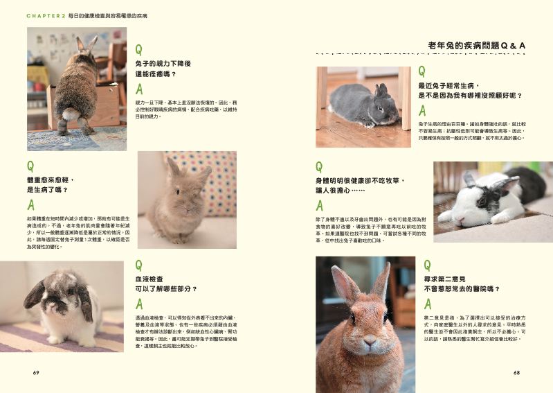 內頁 6
