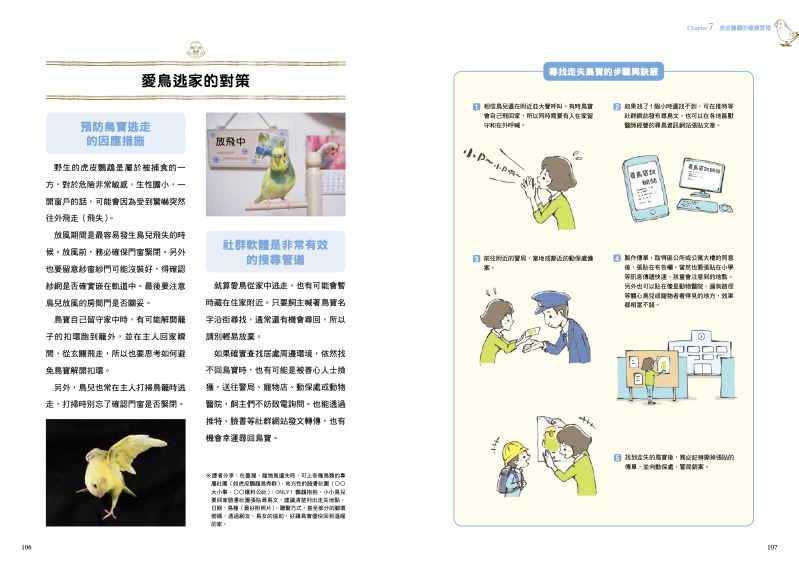 內頁 11