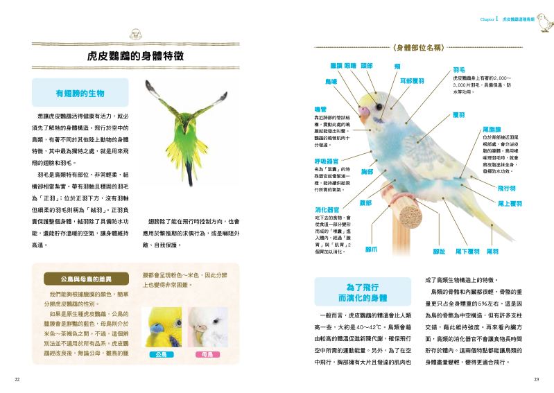內頁 2