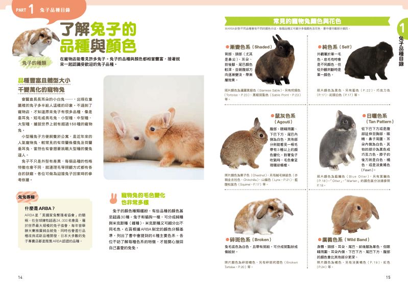 內頁 2