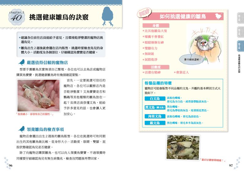 內頁 10