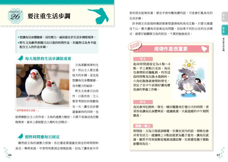 內頁 5
