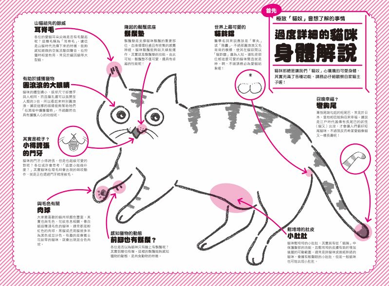 內頁 3