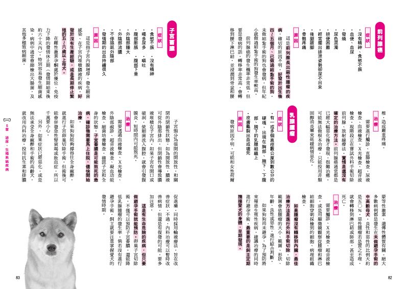 內頁 11
