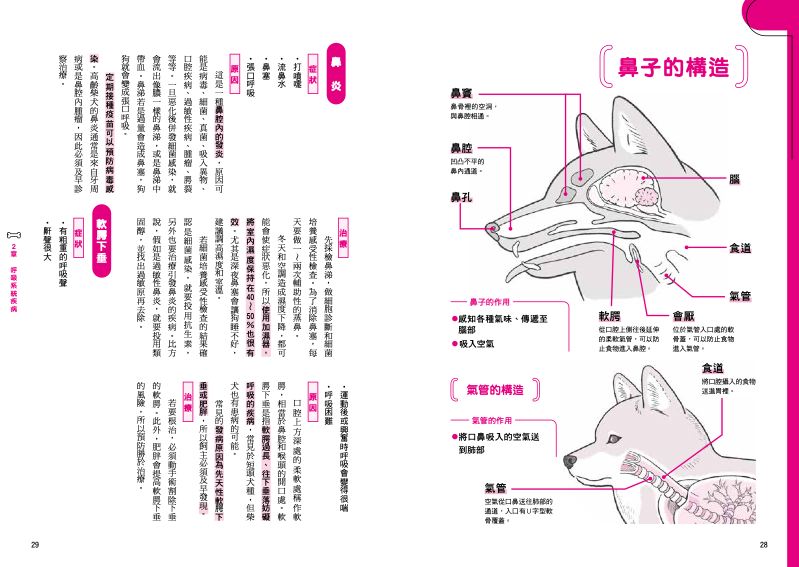 內頁 3
