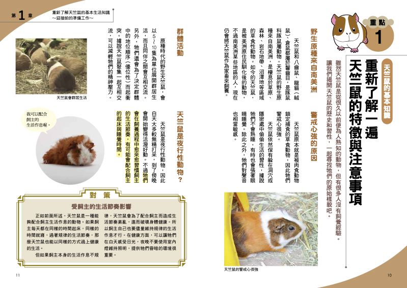 內頁 2