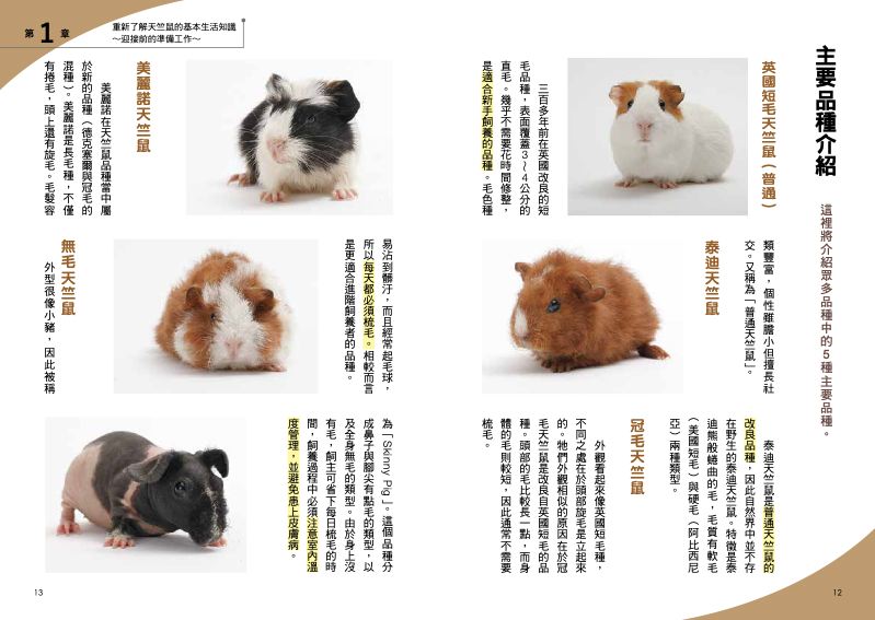 內頁 3