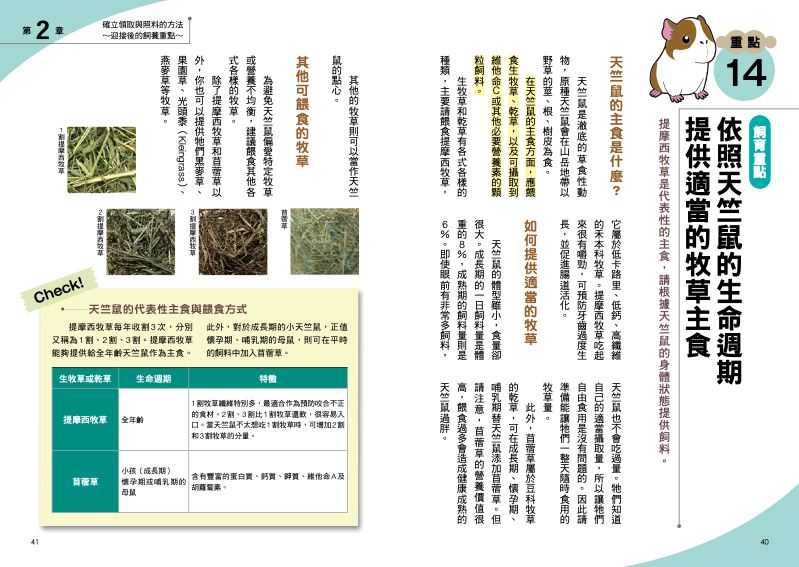 內頁 4