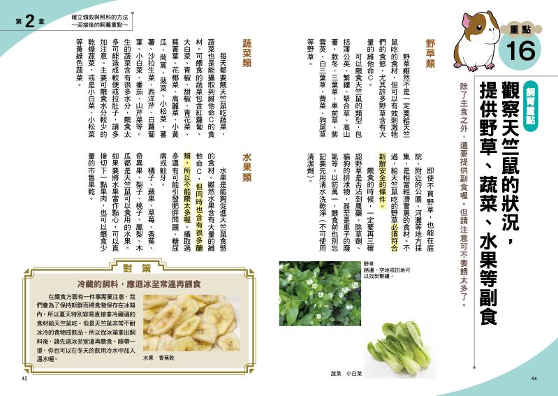 內頁 6