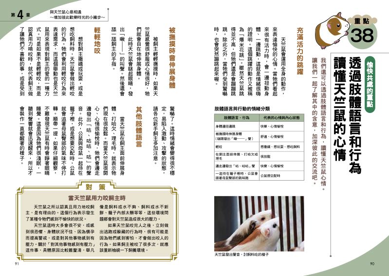 內頁 8