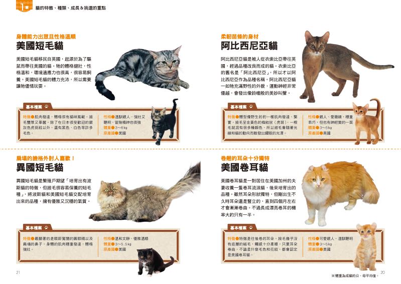 內頁 4