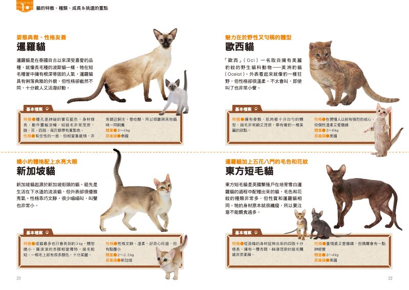 內頁 5
