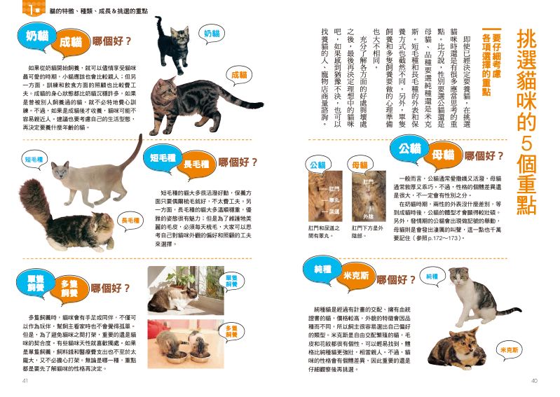 內頁 7