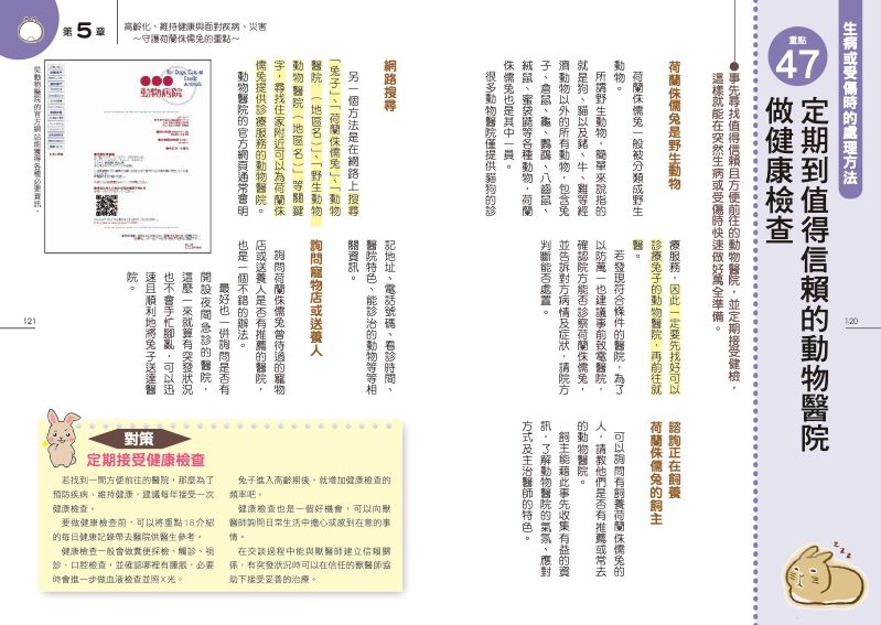 內頁 11