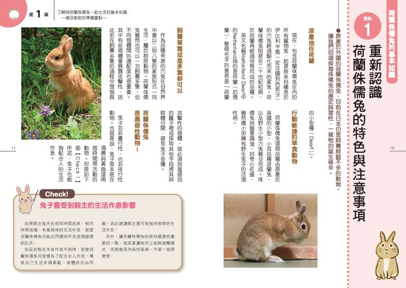 內頁 2