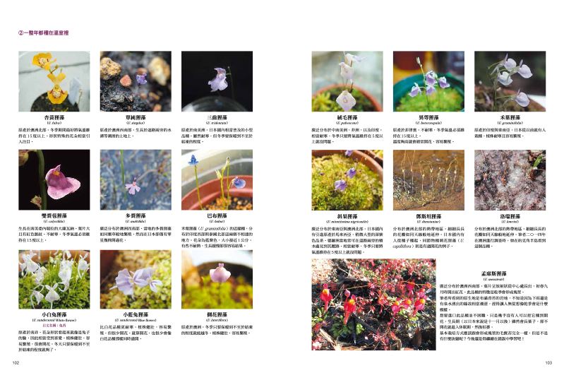 內頁 9