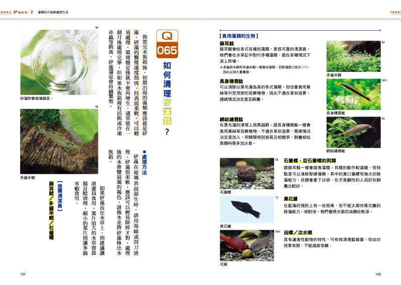 內頁 11