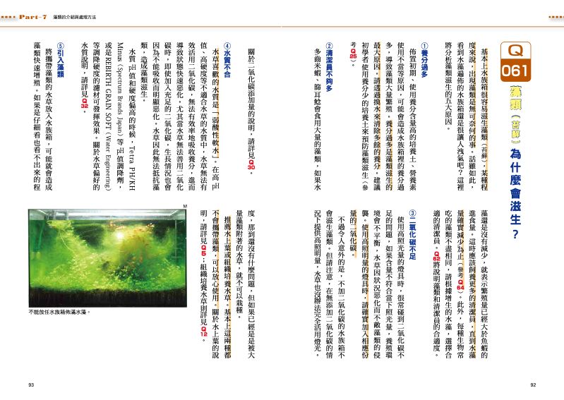 內頁 7