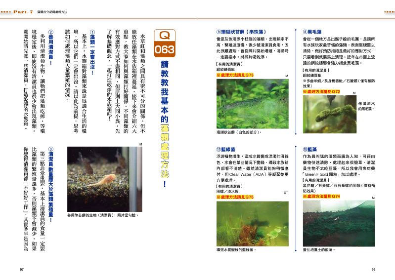 內頁 9