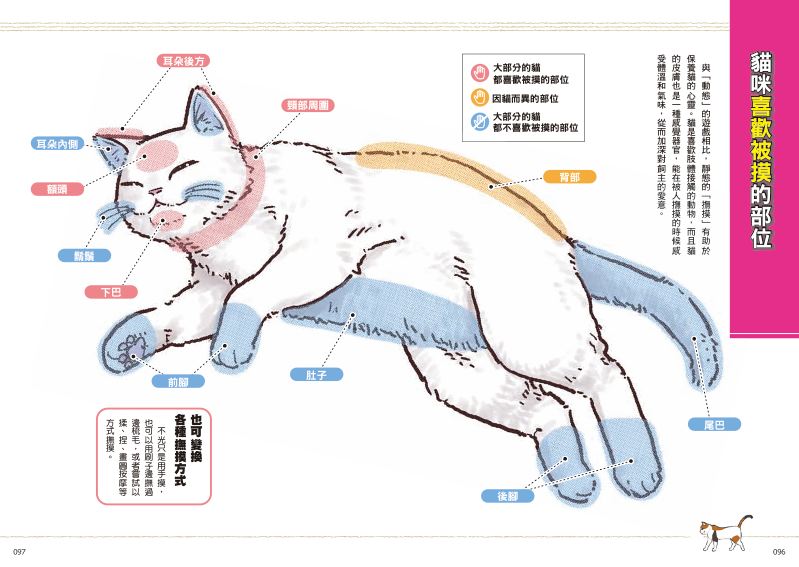 內頁 10