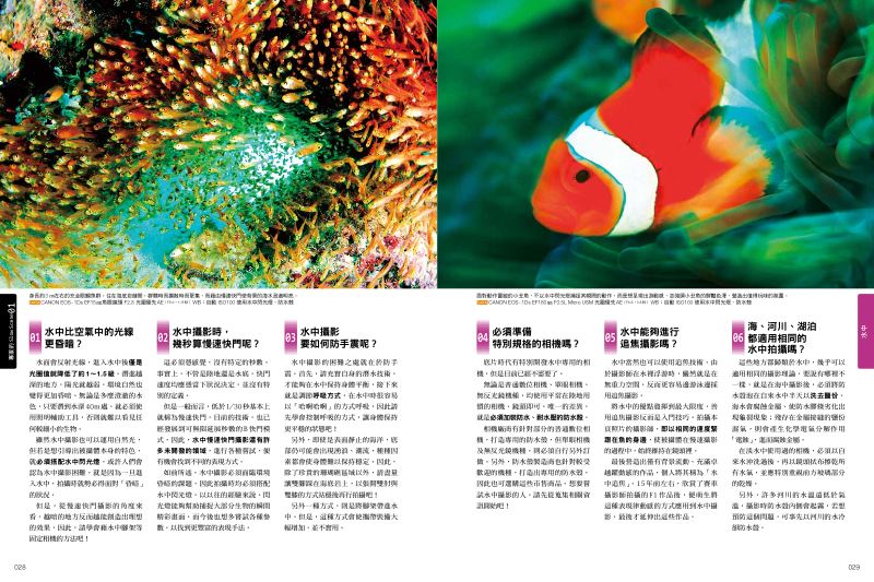 內頁 6