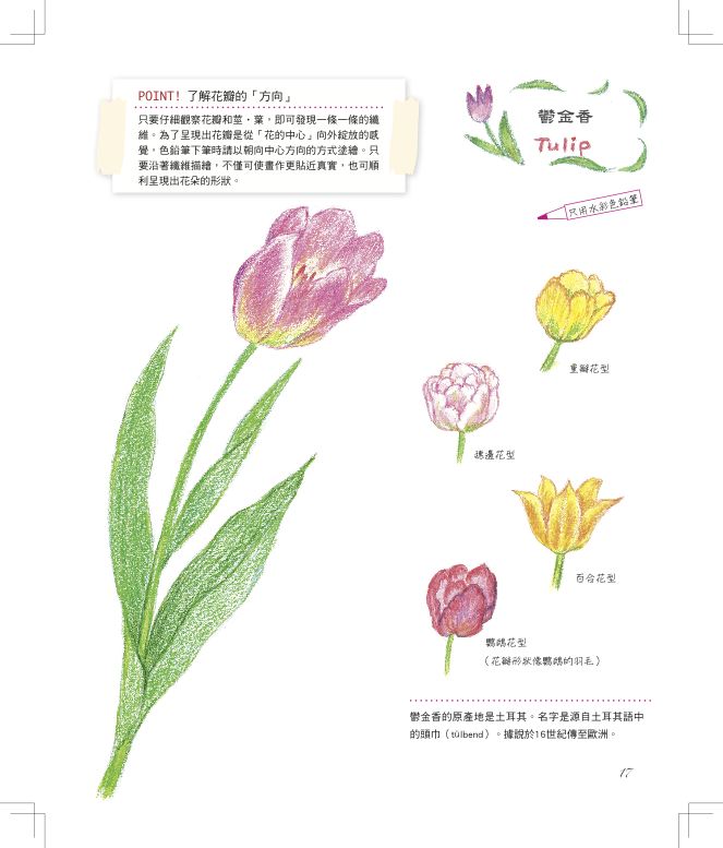 內頁 5