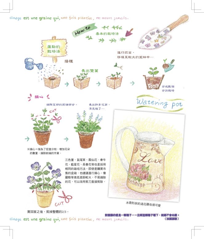內頁 7