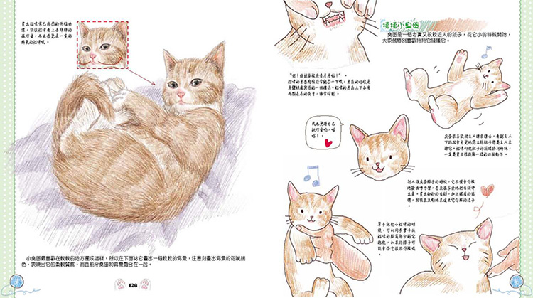 內頁 7