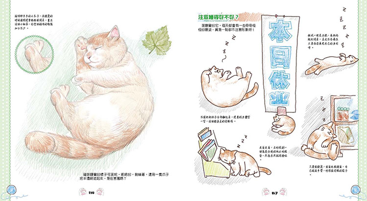 內頁 8