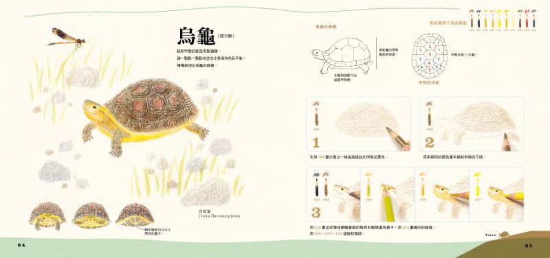 內頁 10