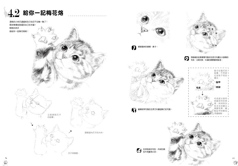 內頁 7