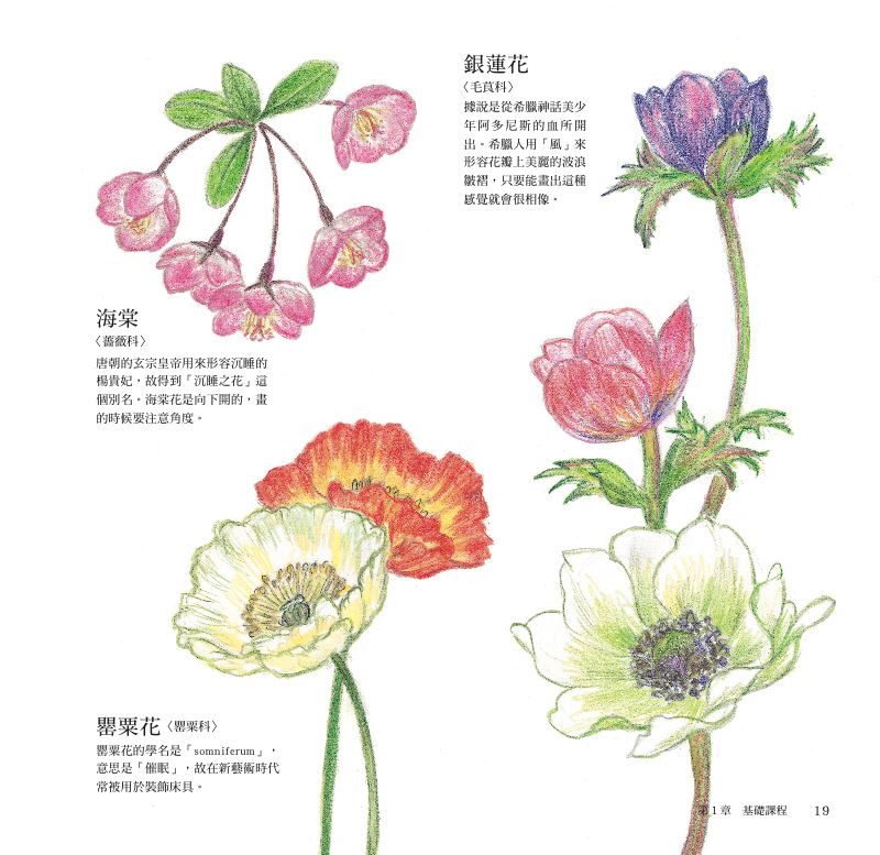 內頁 7
