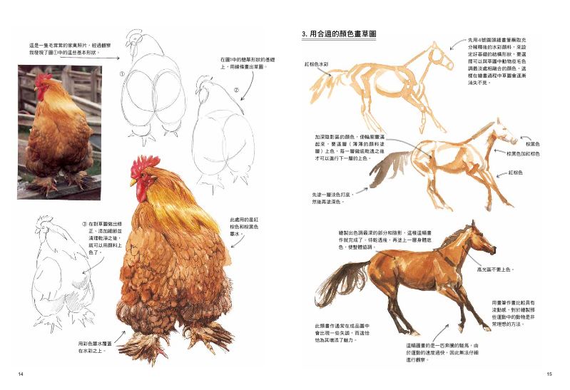 內頁 3