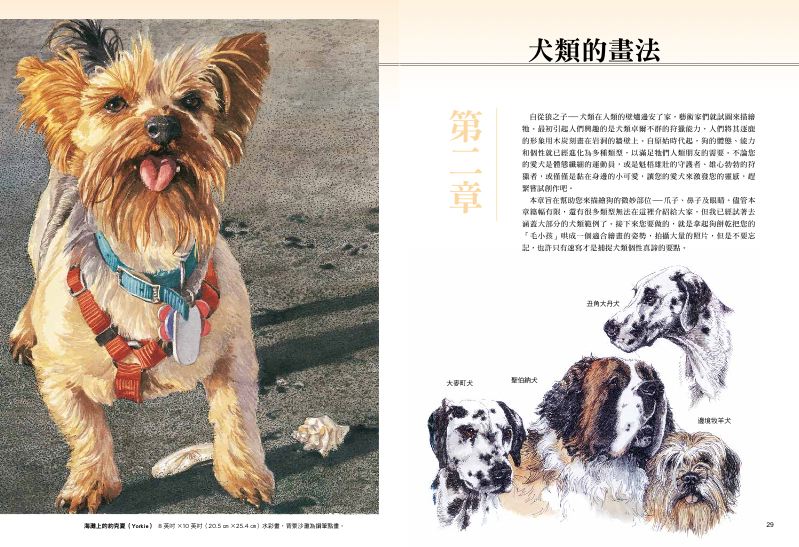 內頁 5