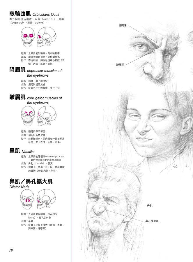 內頁 3