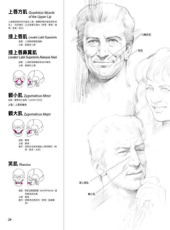 內頁 5
