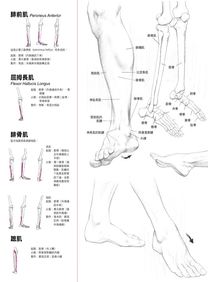 內頁 7