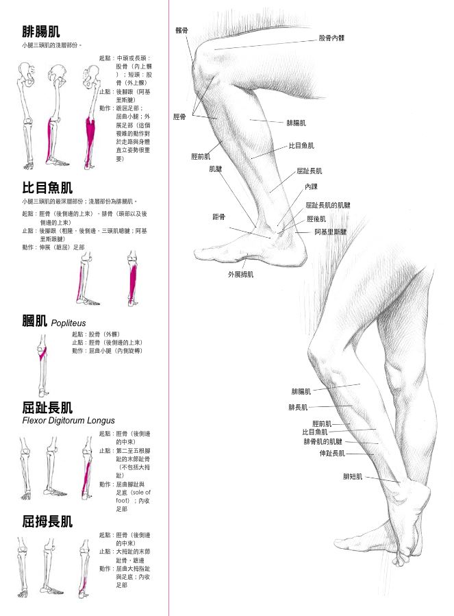 內頁 9