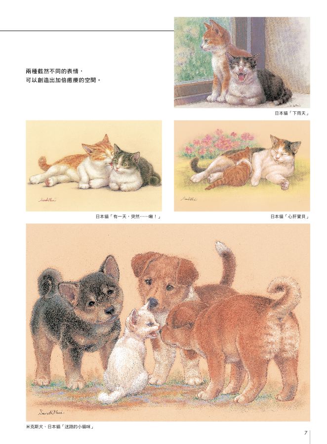 內頁 7