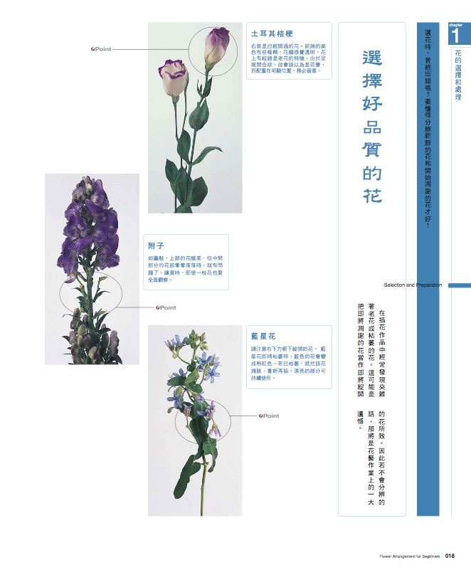 內頁 3