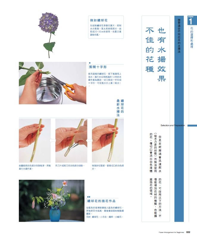 內頁 5