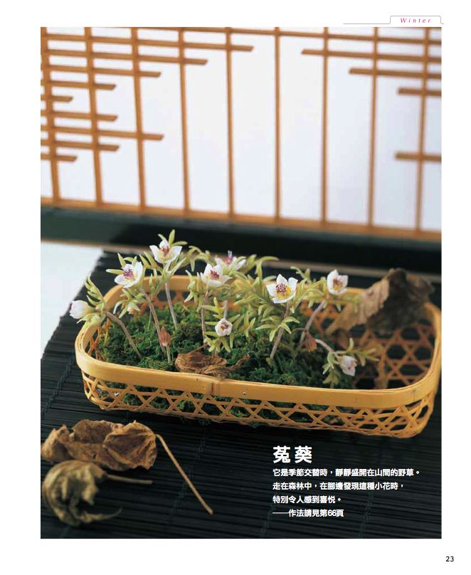 內頁 6
