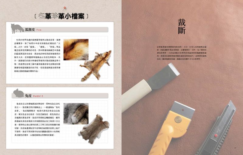 內頁 7
