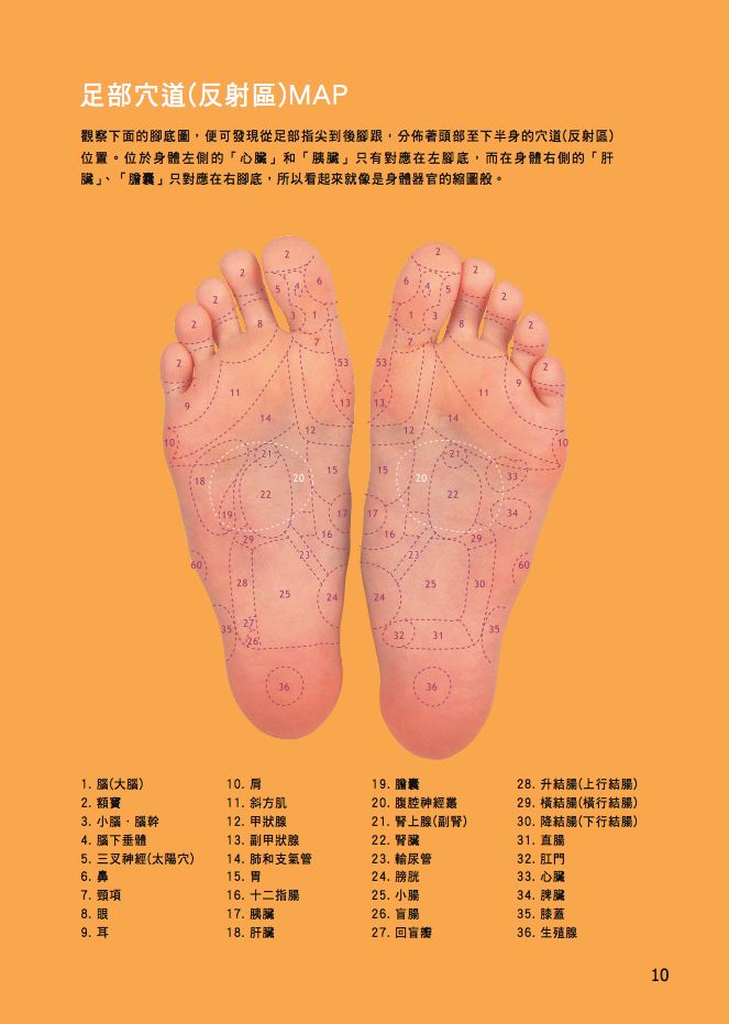 內頁 4