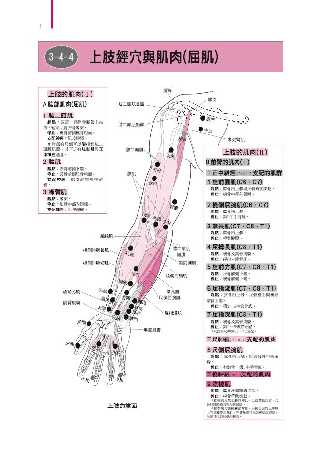 內頁 5