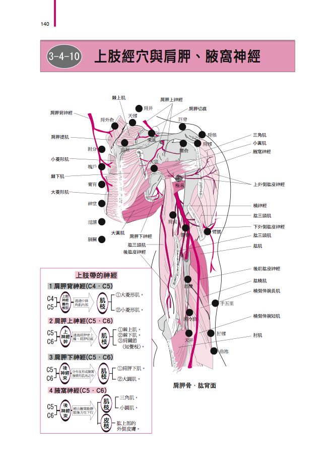 內頁 6
