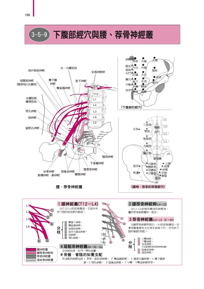 內頁 7