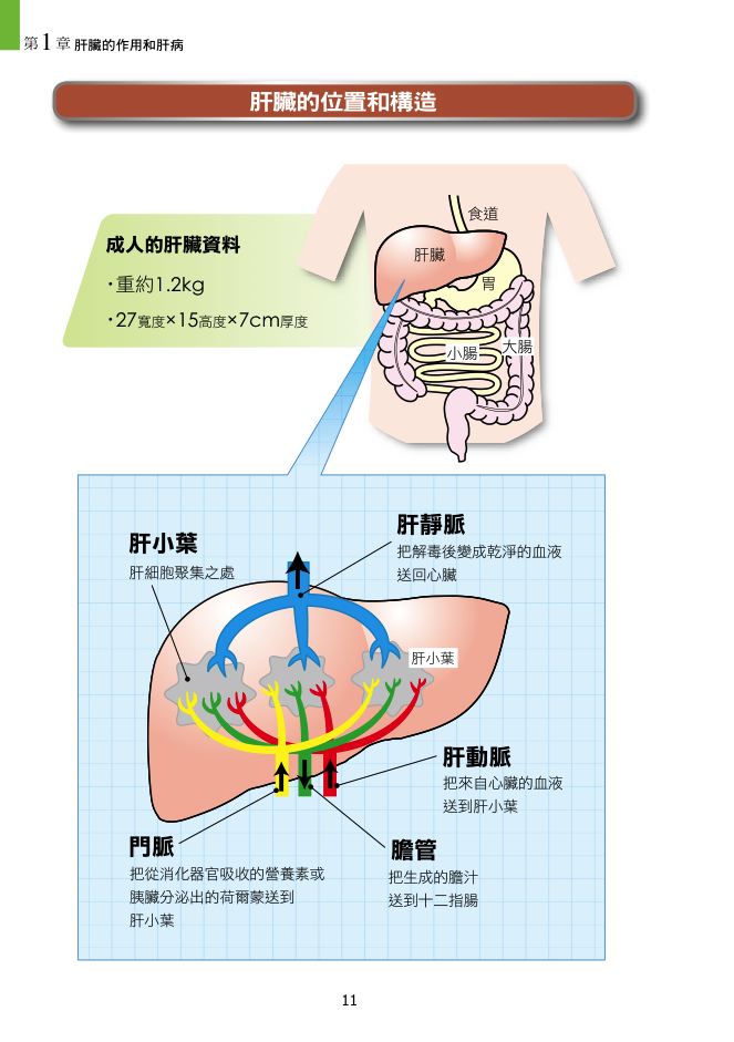 內頁 2