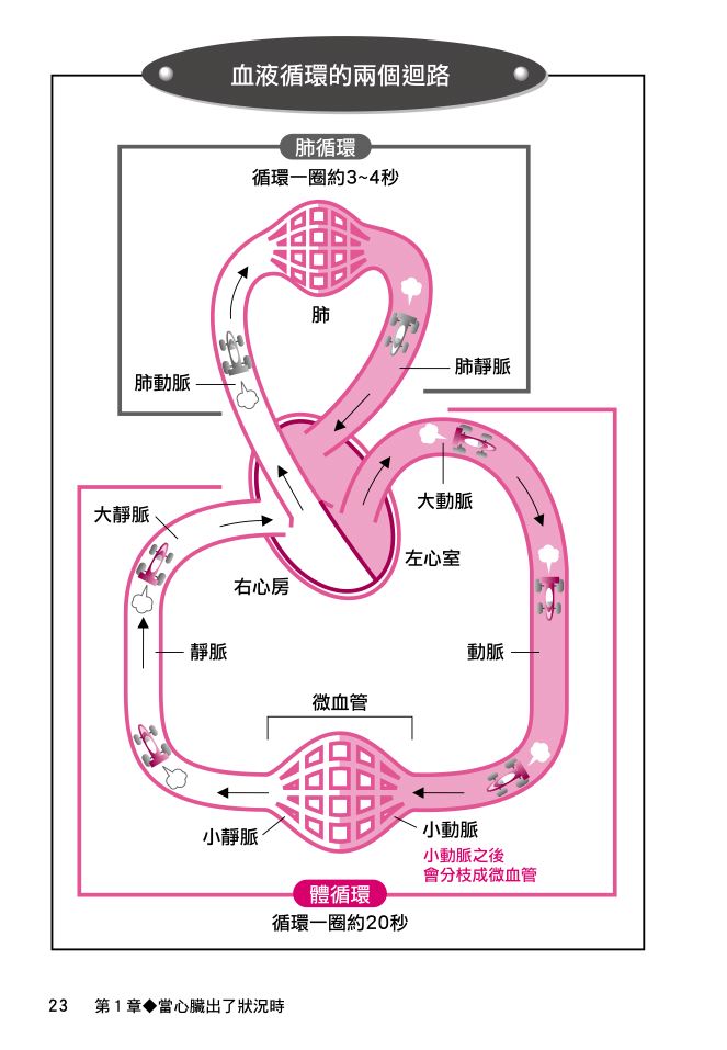 內頁 6